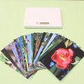 FE2)花写真カードボックス